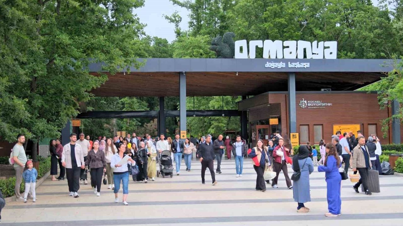 Ormanya’dan Bayram Rekoru! 9 Günde Ziyaretçi Akınına Uğradı