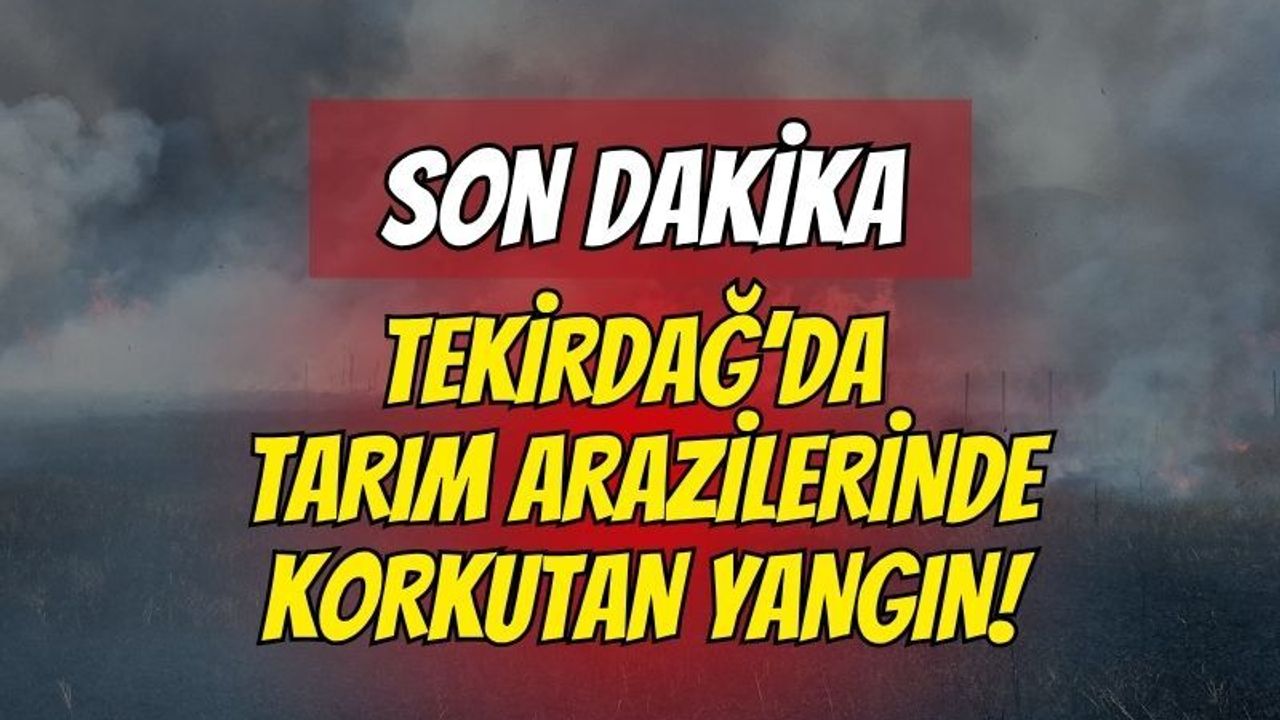 Tekirdağ'da tarım arazilerinde feci yangın: 700 dönüm alan ve 20 konteyner kül oldu!