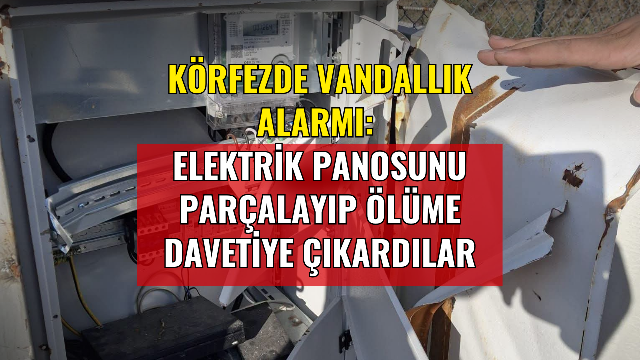 Körfezde Vandallık Alarmı: Elektrik Panosunu Parçalayıp Ölüme Davetiye Çıkardılar
