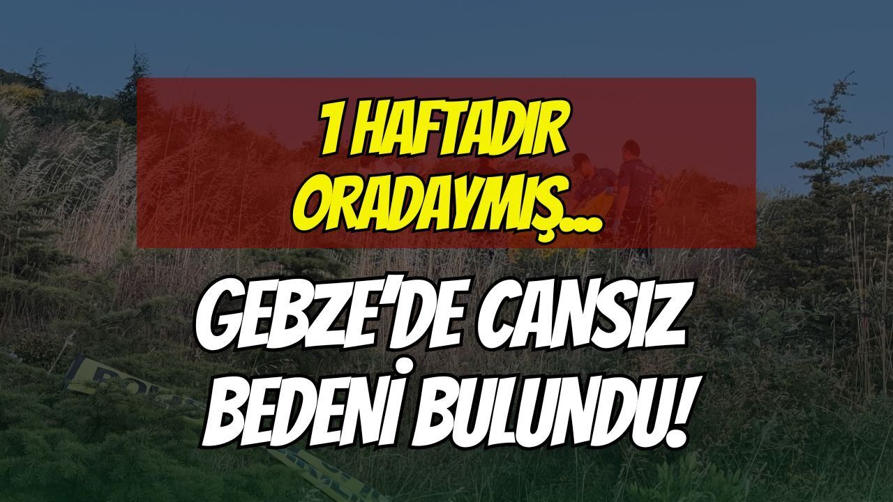 Yürüyüşe Çıkanlar Fark Etti: Gebze'de Yaşlı Adamın Cansız Bedeni Bulundu!