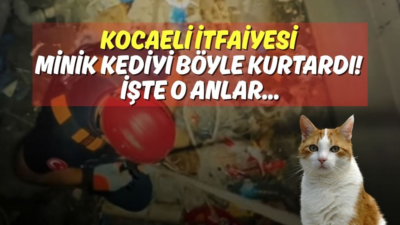 Kocaeli İtfaiyesi Minik Kediyi Böyle Kurtardı! İşte O Anlar...