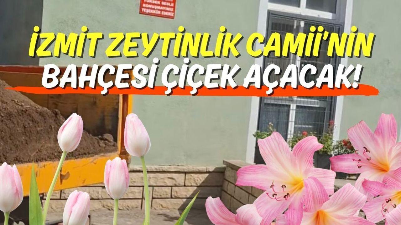 İzmit Zeytinlik Camii’nin Bahçesi Çiçek Açacak