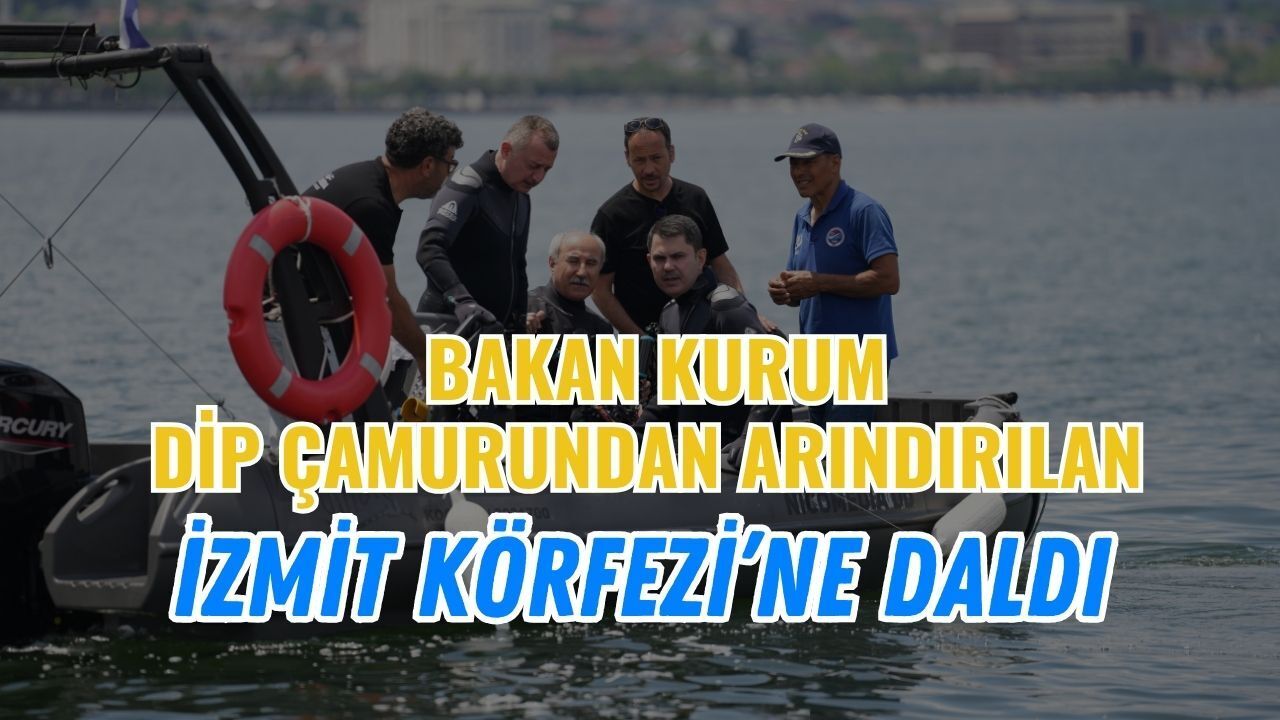 Bakan Kurum Dip Çamurundan Arındırılan İzmit Körfezi'ne Daldı