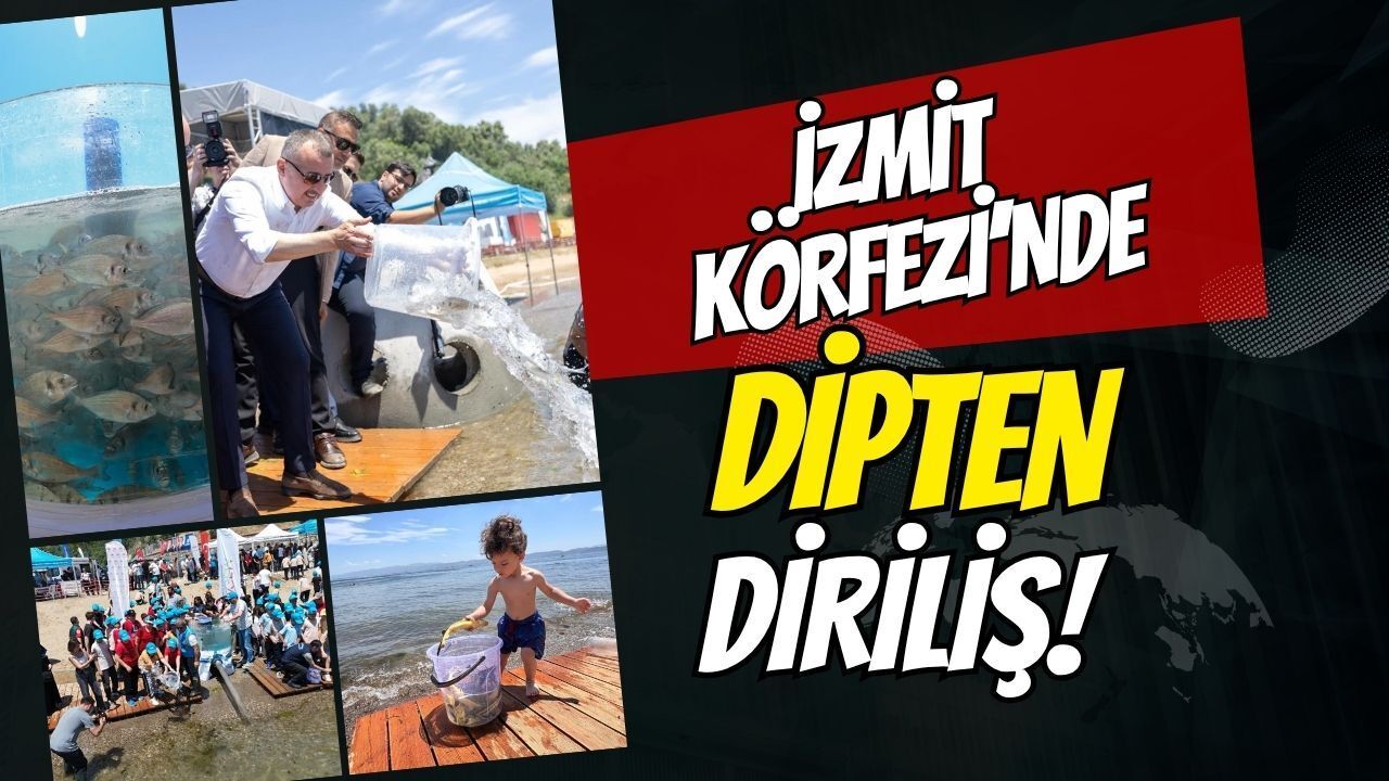 İzmit Körfezi’ne Dipten Diriliş Hamlesi: 100 Yapay Resif ve 6 Bin Değerli Balık Denize Bırakıldı!