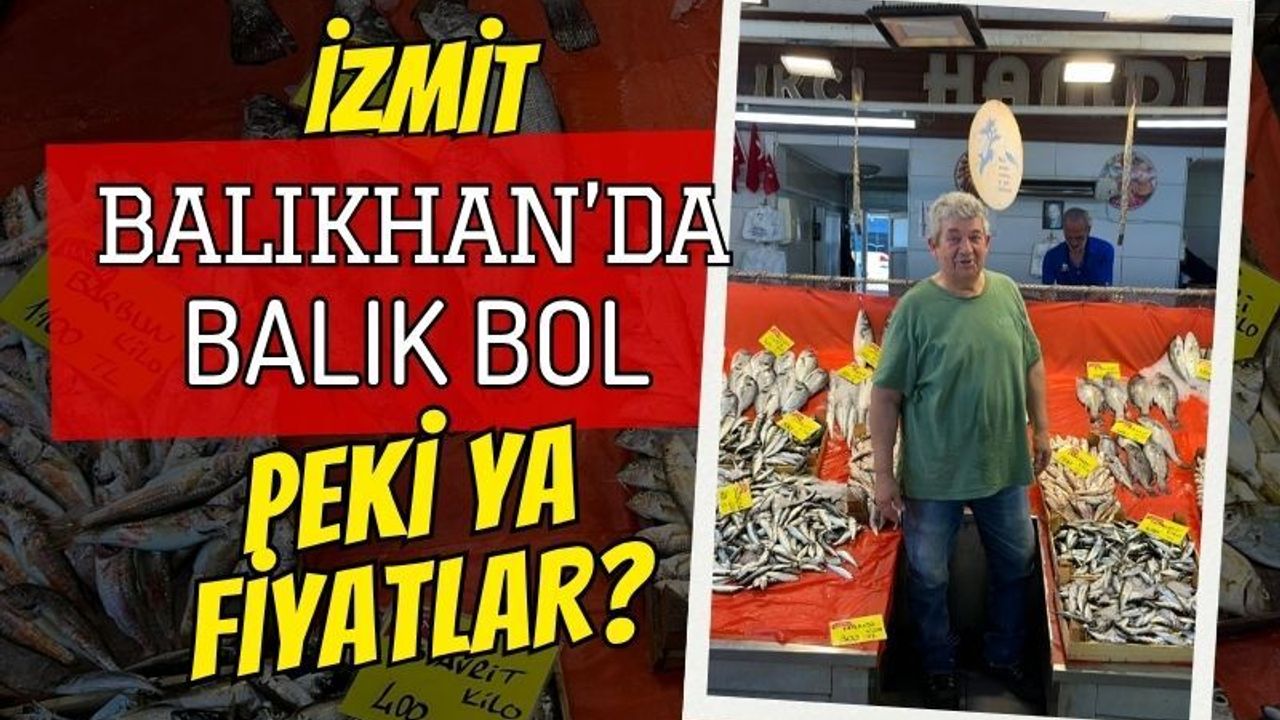 İzmit Balıkhan'da Balık Bol, Fiyatlar Dengeli: İşte Fiyat Listesi