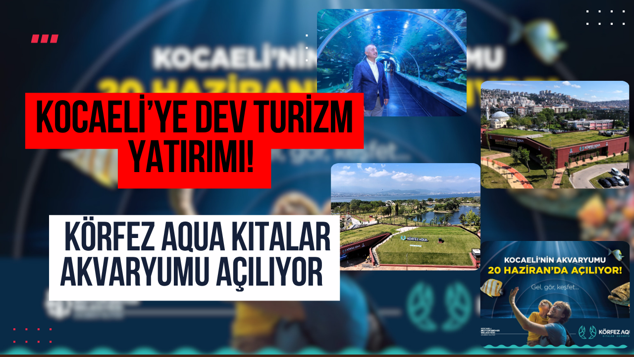 Kocaeli’ye Dev Turizm Yatırımı! Körfez Aqua Kıtalar Akvaryumu Açılıyor