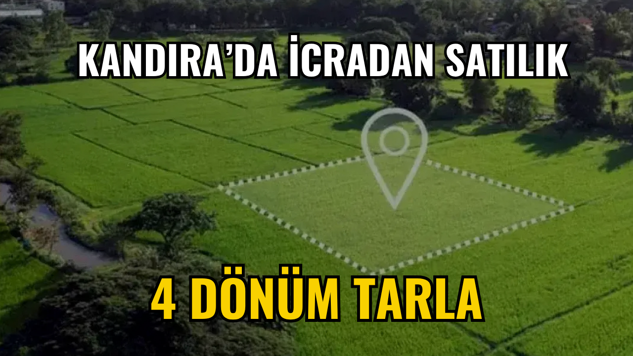 Kandıra'da İcradan Satılık 4 Dönüm Tarla