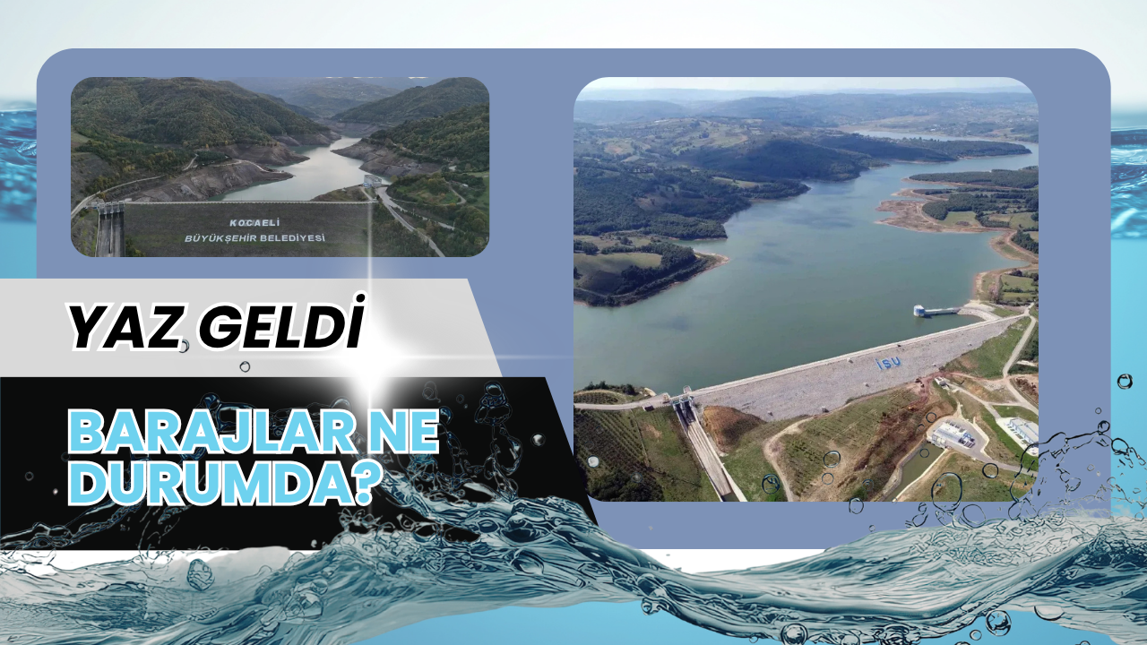 Yaz Geldi: Kocaeli'de Barajlar Ne Durumda?