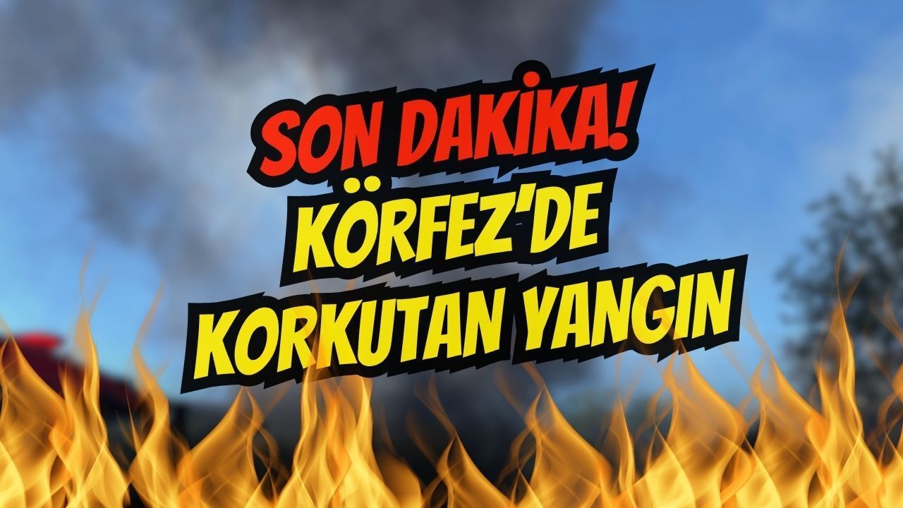 TEM Otoyolu Körfez Mevkiinde Tır Alev Alev Yandı
