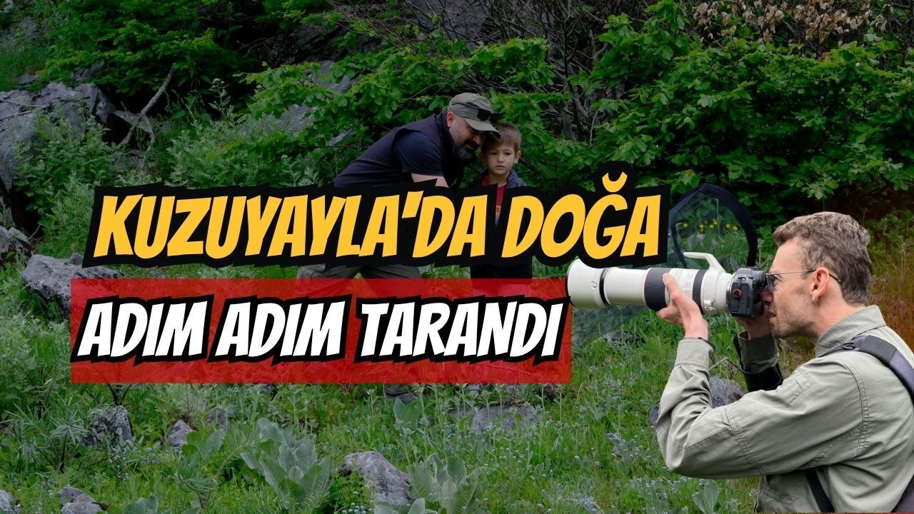 Kuzuyayla'da doğa adım adım tarandı