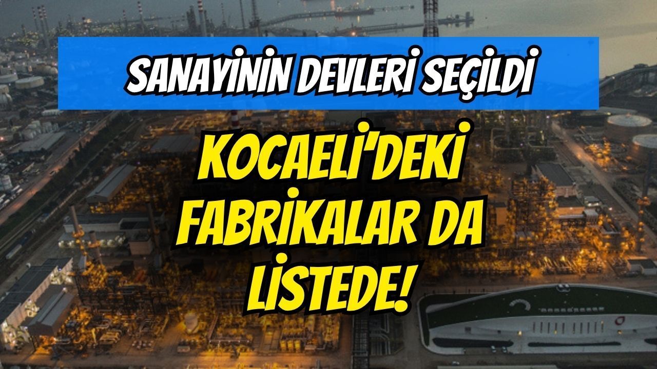 Sanayinin devleri seçildi: Kocaeli'deki fabrikalar da listede!