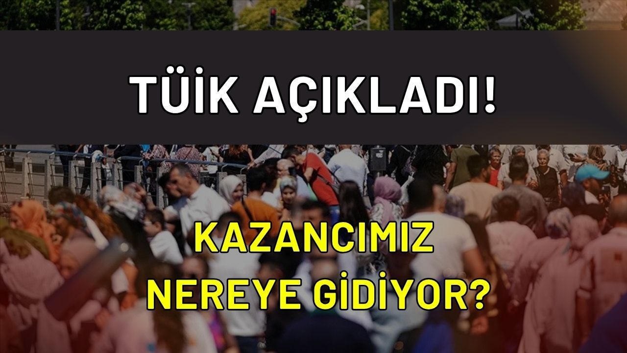 TÜİK Açıkladı: Tek Yaşayanların %41'i Sadece Kiraya Çalışıyor