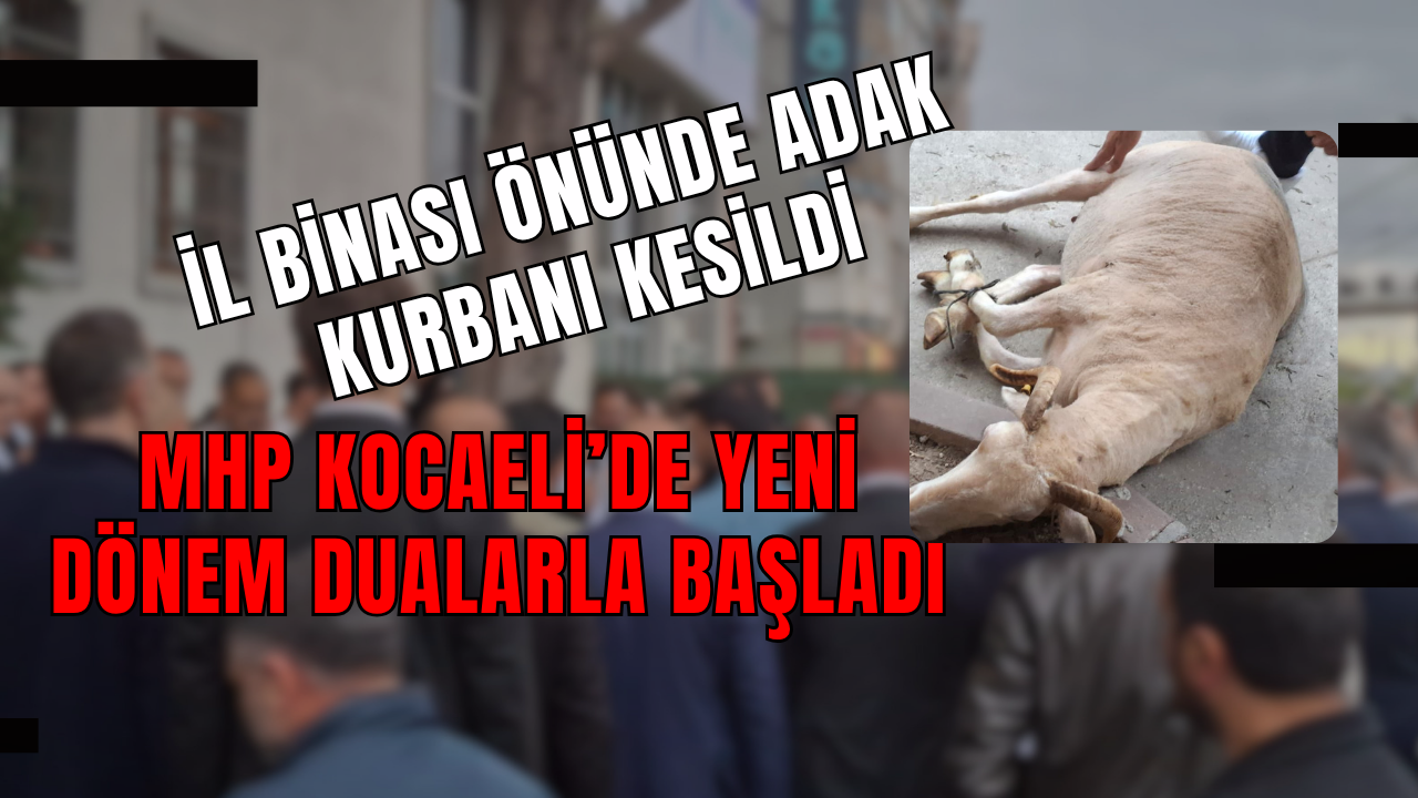 MHP Kocaeli’de Yeni Dönem Dualarla Başladı: İl Binası Önünde Adak Kurbanı Kesildi