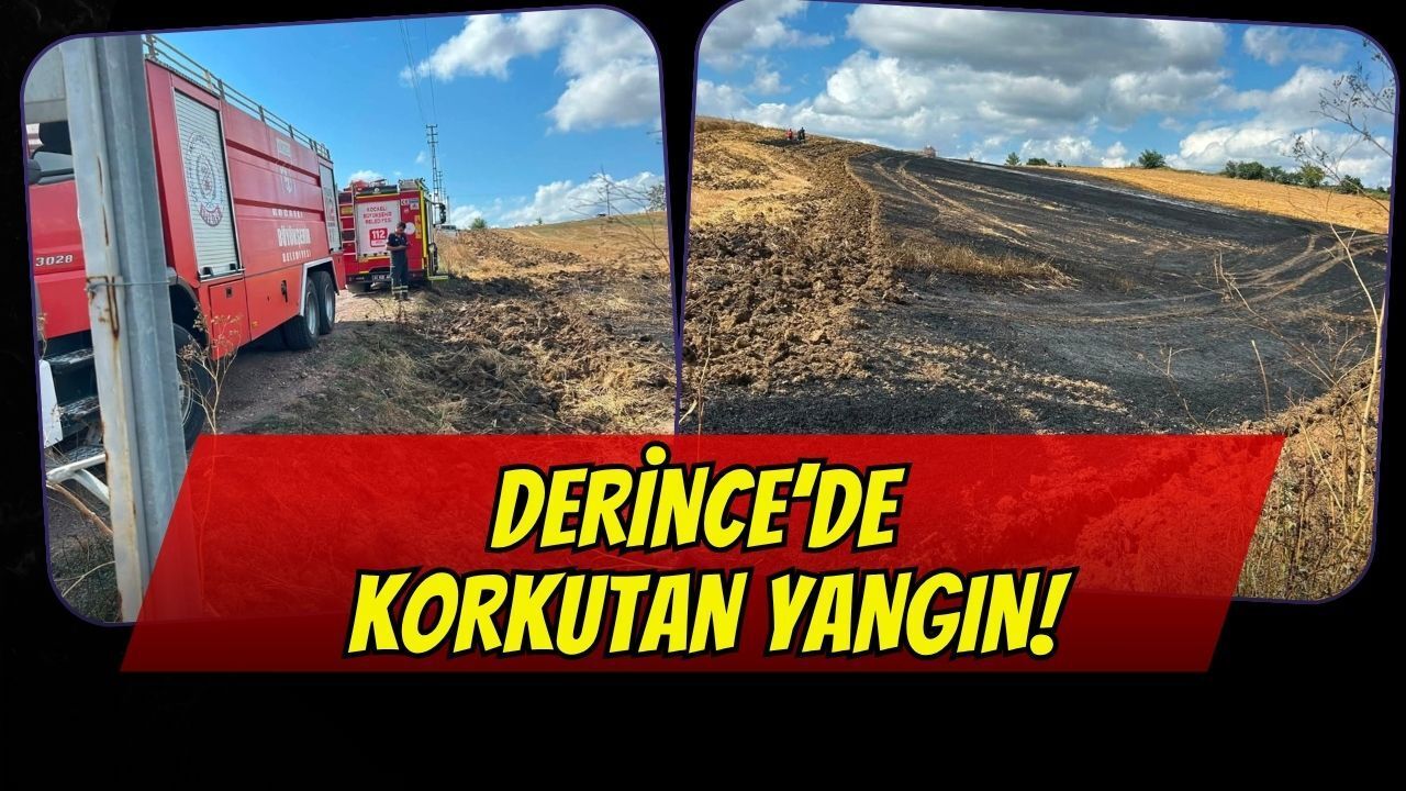 Derince’de Korkutan Yangın: Alevler Evin Eşiğinden Döndü!