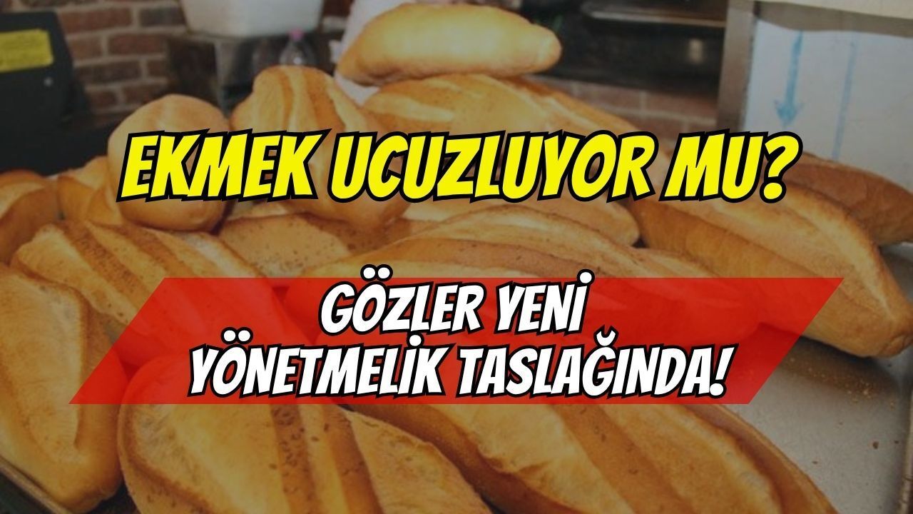 Ekmek fiyatları düşecek mi? Kitlesel üretim yapan fırınlar yakın markajda