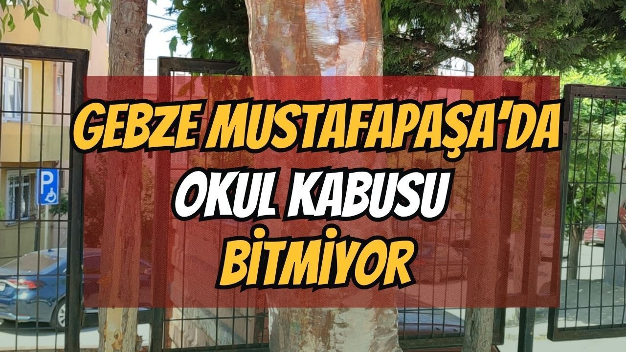Mahalleli Korkudan Susuyor: Gebze’deki Okul Kabusu bitmiyor