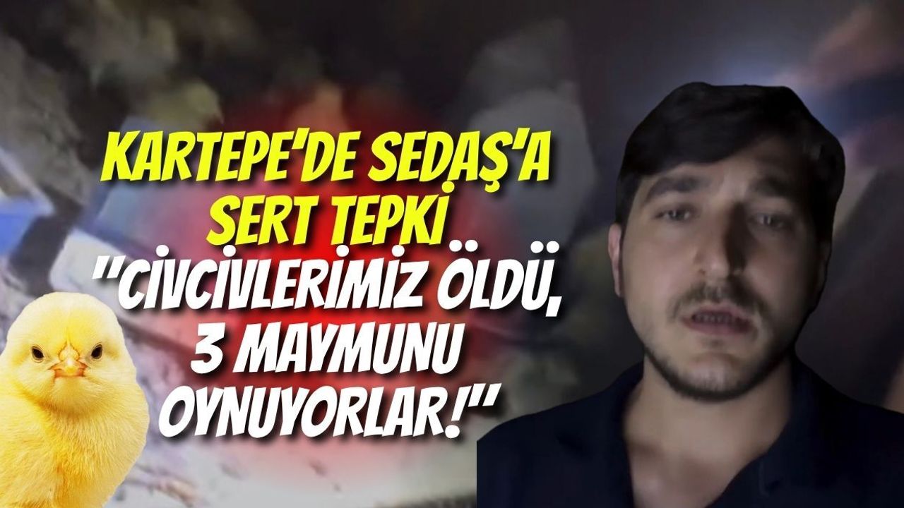 Kartepe’de SEDAŞ’a Sert Tepki: "Civcivlerimiz Öldü, 3 Maymunu Oynuyorlar!"
