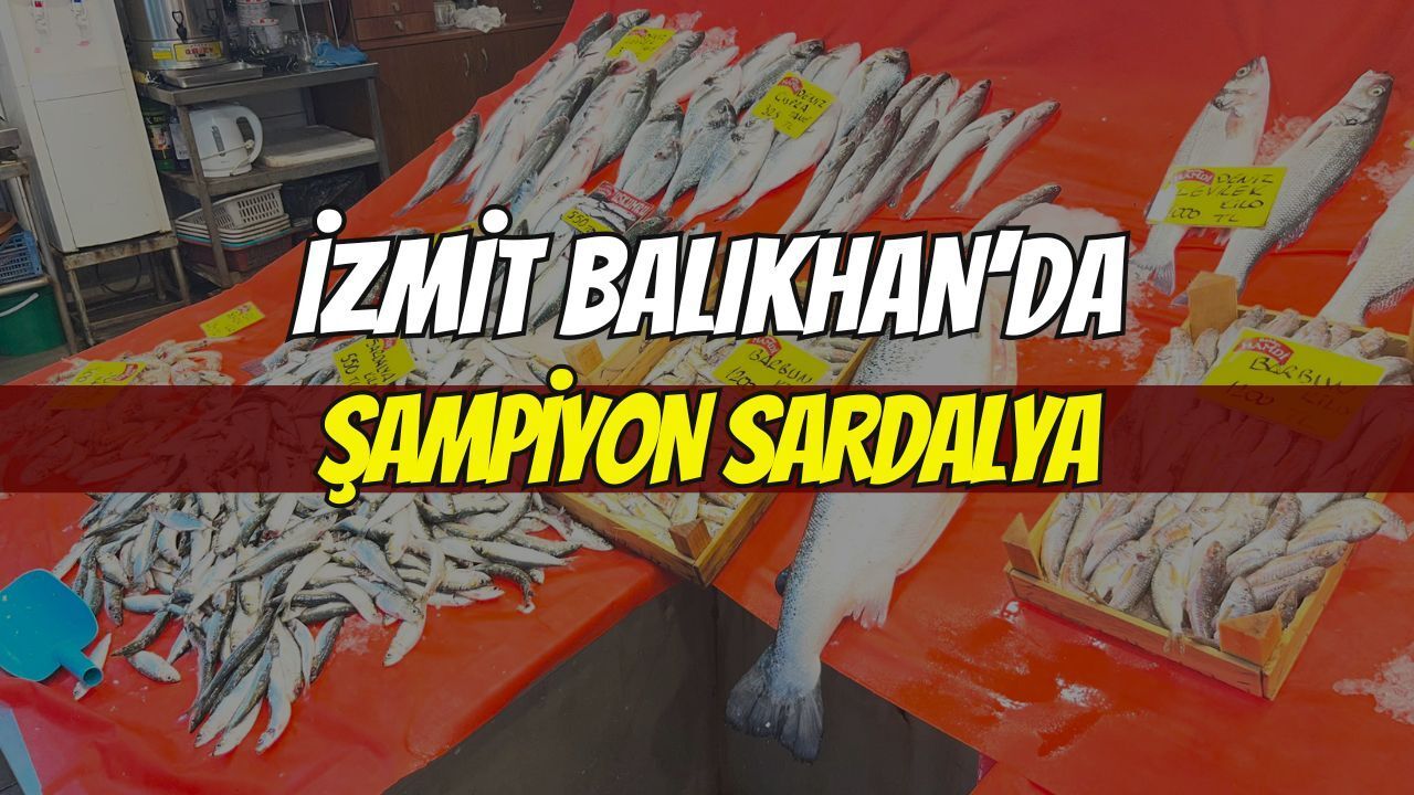 İzmit’te Balıkhan’da Haftanın Şampiyonu Sardalya