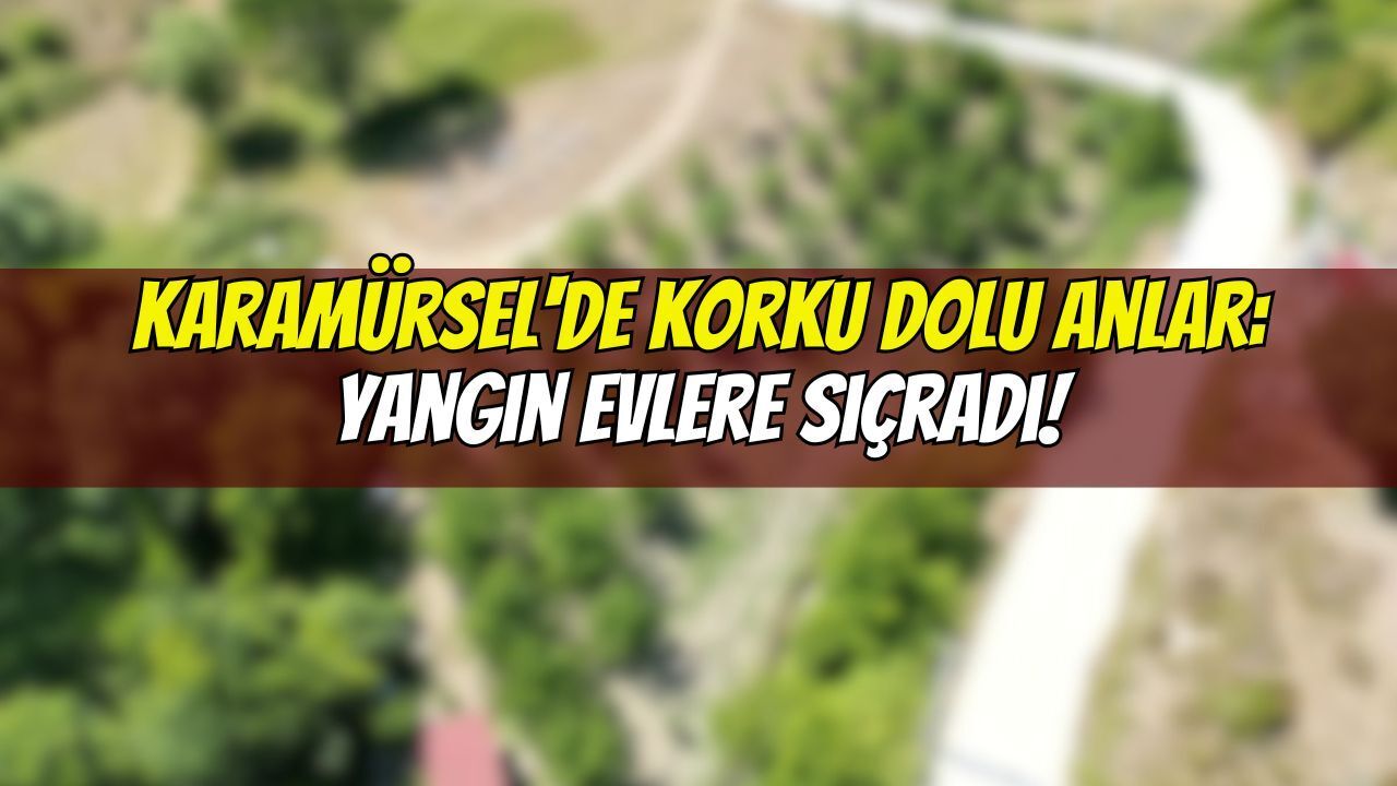 Karamürsel'de Korku Dolu Anlar: Yangın Evlere Sıçradı!