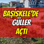 Başiskele'nin Gül Bahçesi Renkleniyor: 15 Bin Gül Açmaya Hazırlanıyor