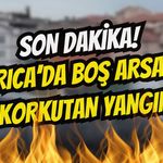 Darıca'da Boş Arsada korkutan Yangın