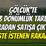 Gölcük'te 13 dönümlük tarla icradan satışa çıktı! İşte istenen rakam