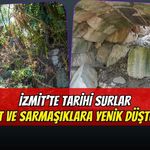İzmit’te 2 Bin Yıllık Tarihi Surlar Ot ve Sarmaşıklara Yenik Düştü!
