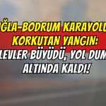 Muğla-Bodrum Karayolunda Korkutan Yangın: Alevler Büyüdü, Yol Duman Altında Kaldı!