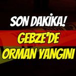 Son Dakika: Gebze'de Orman Yangını