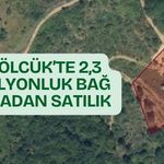 Gölcük'te 2,3 Milyonluk Bağ İcradan Satışa Çıkıyor