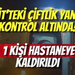 İzmit’teki Çiftlik Yangını Kontrol Altında! 1 Kişi Hastaneye Kaldırıldı