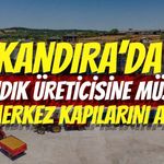 Kandıra’da Fındık Üreticisine Müjde: Dev Merkez Kapılarını Açıyor