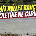 İzmit Millet Bahçesi Göletine Ne Oldu? Vatandaşı Tedirgin Eden Tabaka