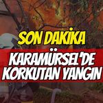 Karamürsel’de Can Pazarı: İtfaiye Son Anda Yetişti
