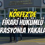 Körfez'de firari hükümlü operasyonla yakalandı