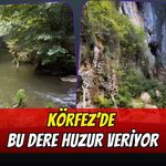 Körfez’de Doğayla İç İçe Rota