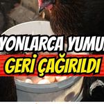 ABD’de Milyonlarca Yumurta Geri Çağrıldı