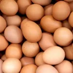 Yumurta fiyatları düştü! Yeni rakamlar üreticiyi zorlayacak