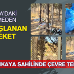 Darıca'daki işletmeden Alkışlanan Hareket: Yelkenkaya Sahilinde Temizlik Seferberliği!