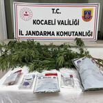 Jandarmadan İzmit'te Baskın: Zehir Tacirlerine Ağır Darbe