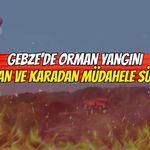 Gebze’de orman yangını! Muallimköy’de alevlere havadan ve karadan müdahale sürüyor