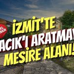 İzmit’te Yuvacık’ı Aratmayan Mesire Alanı