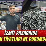 İzmit Pazarında Balık Fiyatları Ne Oldu?