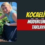 Kocaeli’de Müdürlükten Tarlaya