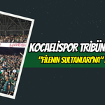 Kocaelispor Tribünlerinden "Filenin Sultanları'na" Dev Alkış