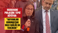 Haddehane projesine tepki büyüyor: “Hayvanları korumazsak halk sağlığı da tehlikede”