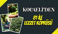 Kocaeli'den 81 İle Lezzet Köprüsü: Ünlü Eşme Eriğinde "Kastarca" Mesaisi ve Güncel Bahçe Fiyatları