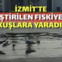 İzmit