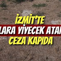 İzmit