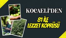 Kocaeli'den 81 İle Lezzet Köprüsü: Ünlü Eşme Eriğinde "Kastarca" Mesaisi ve Güncel Bahçe Fiyatları